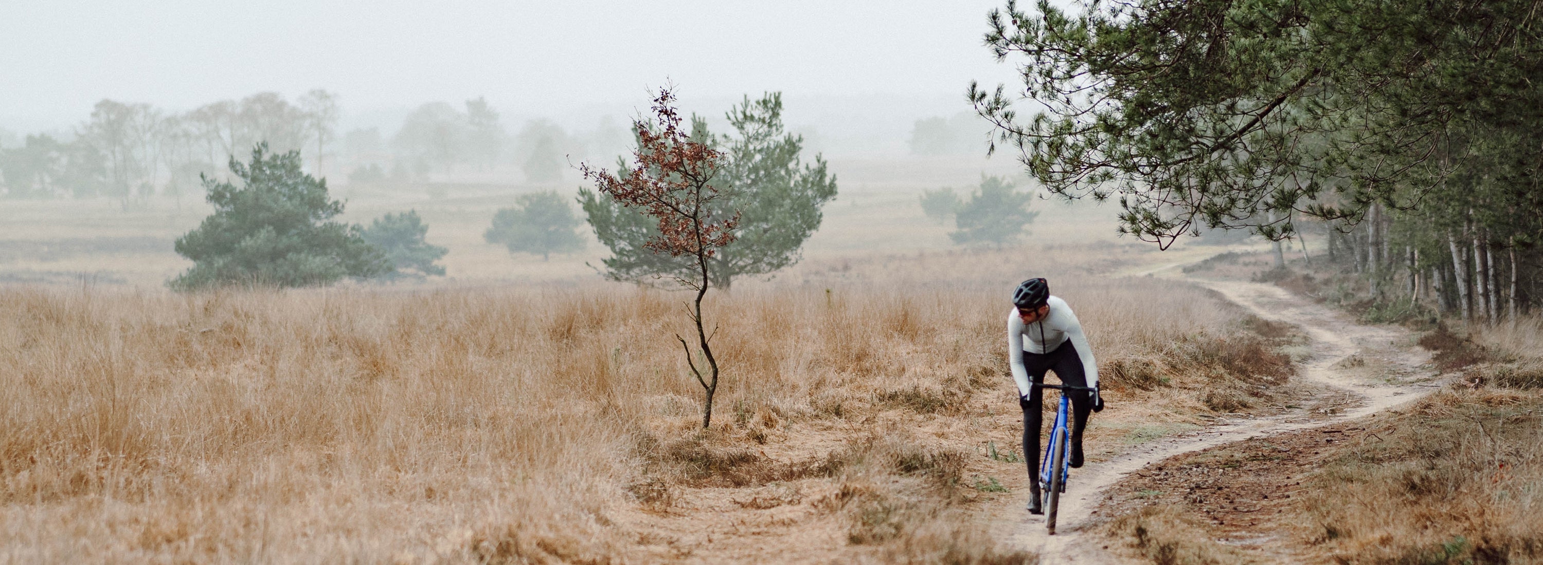 Gravel bike Daysaver Home